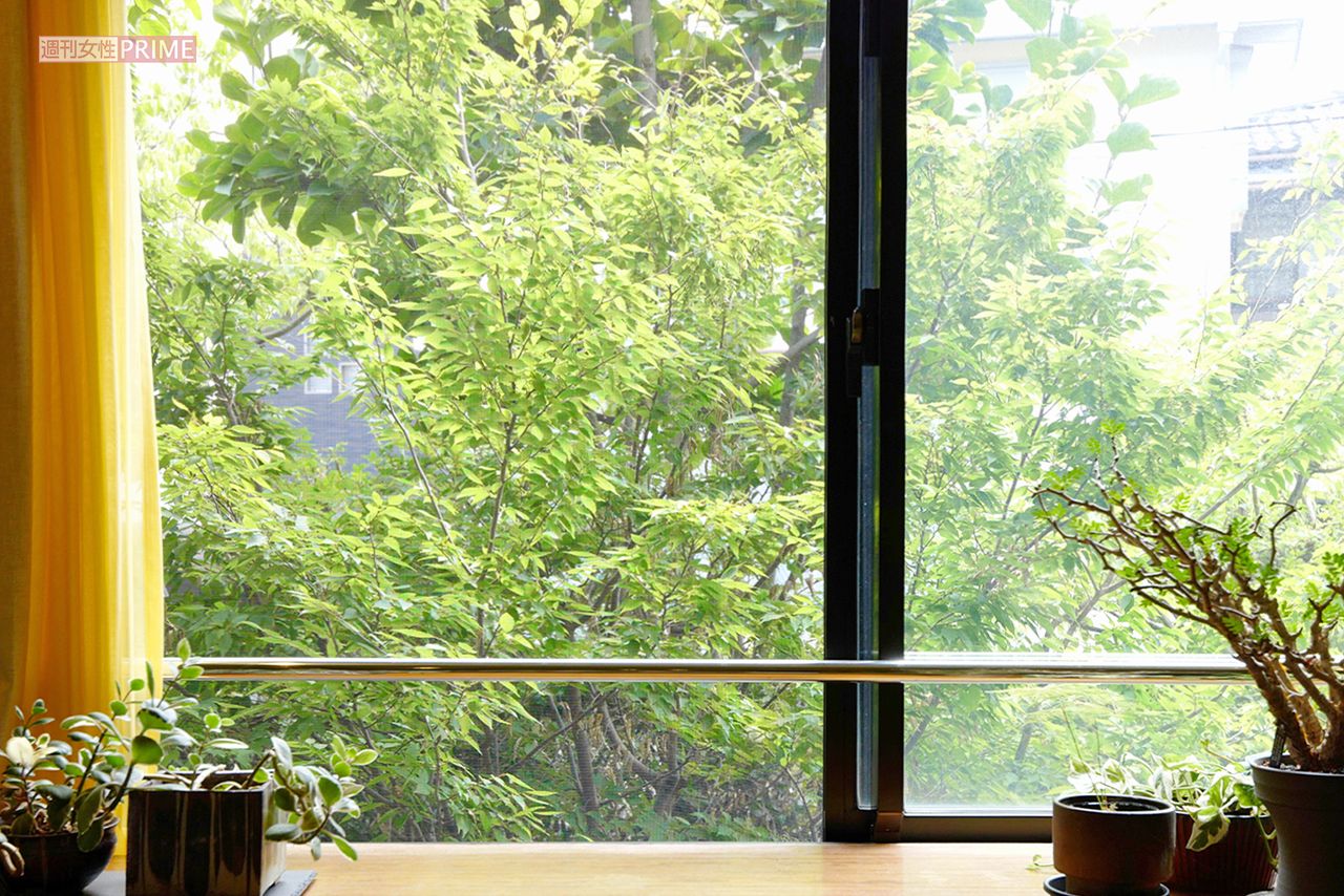 撮影／朝井まかてさん