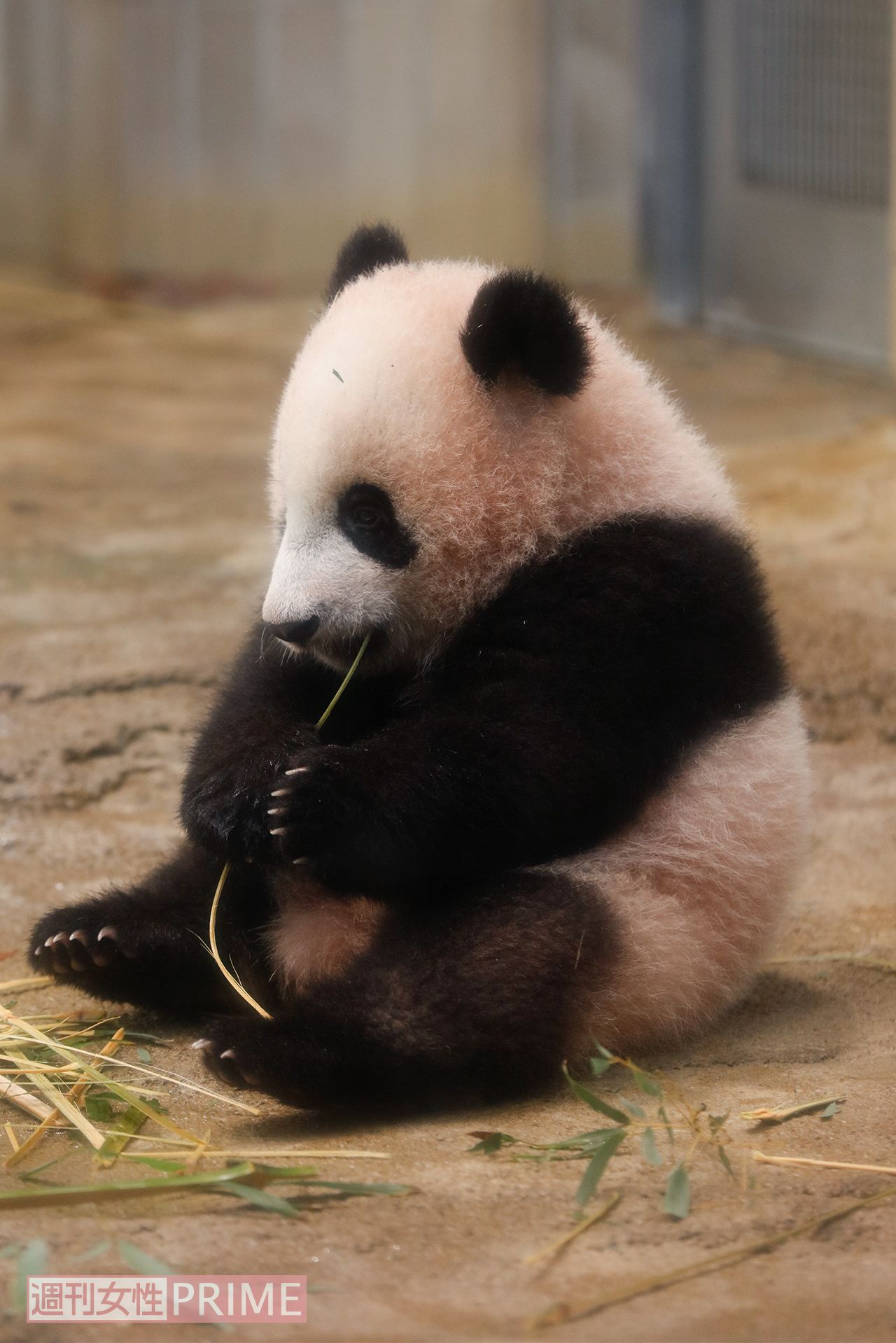 ご飯を食べる姿にキュンッ♪