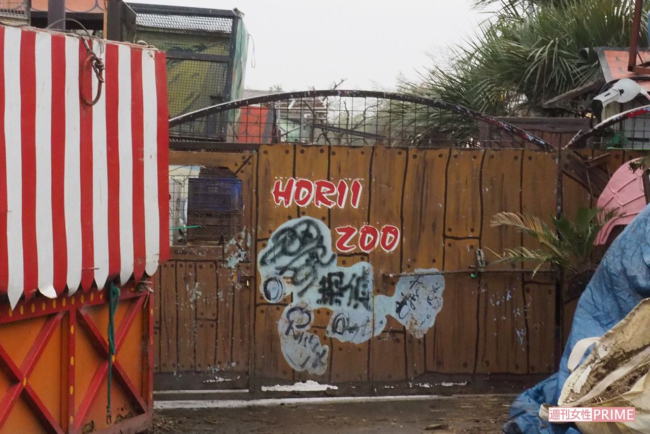 堀井動物園第二飼育場の入り口は固く閉ざされ、中の様子はわからなかった。滞在するスタッフを確認することはできなかった