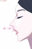 「鼻唇角(びしんかく)」は鼻の先端から付け根までの線と、鼻の付け根から上唇を結んだ線の交わる角度のこと。90度くらいが美しいとされる イラスト/コバノン