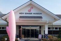 《栃木県栃木市》『岩下の新生姜』公式キャラ・イワシカちゃんのキレキレダンスが話題で「売上も2割強アッ…