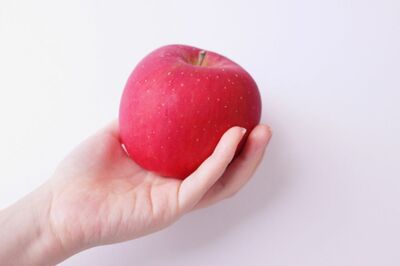 ※写真はイメージです