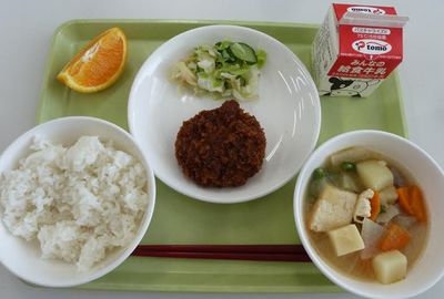 ゴキブリを「……全部食べちゃいました」と女子生徒、給食に“G”混入事件の顛末