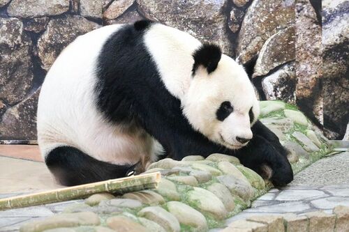 Q.ストレッチだ～れだ　D　（撮影／二木繁美）