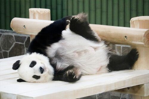 Q.ストレッチだ～れだ　A　（撮影／二木繁美）