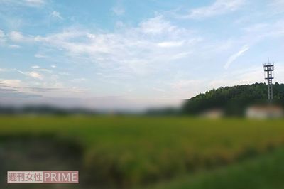 三重県津市にある容疑者の実家付近には広大な田畑が広がっている