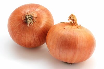 混ぜるだけ『玉ねぎ麹』のスゴイ効果、全身毒出し！生活習慣病の強い味方