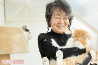 保護猫の未来は「システム」が救う！年間700頭の命をつなぐ女性の “次の夢”