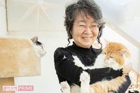 保護猫の未来は「システム」が救う!年間700頭の命をつなぐ女性の “次の夢”