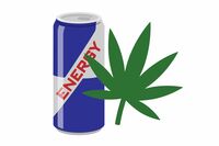 大麻由来「CBD製品」、エナジードリンクが流行しているワケ、そしてメリットデメリットを天秤にかける、新…
