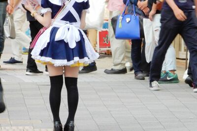 メイドを育てる学校が設立、日本執事協会に聞いた「どんなことを学ぶの?」“萌え”ではないメイド学校が求…