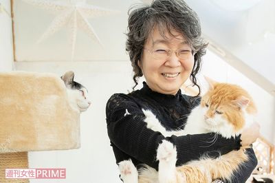 保護猫の未来は「システム」が救う！年間700頭の命をつなぐ女性の “次の夢”