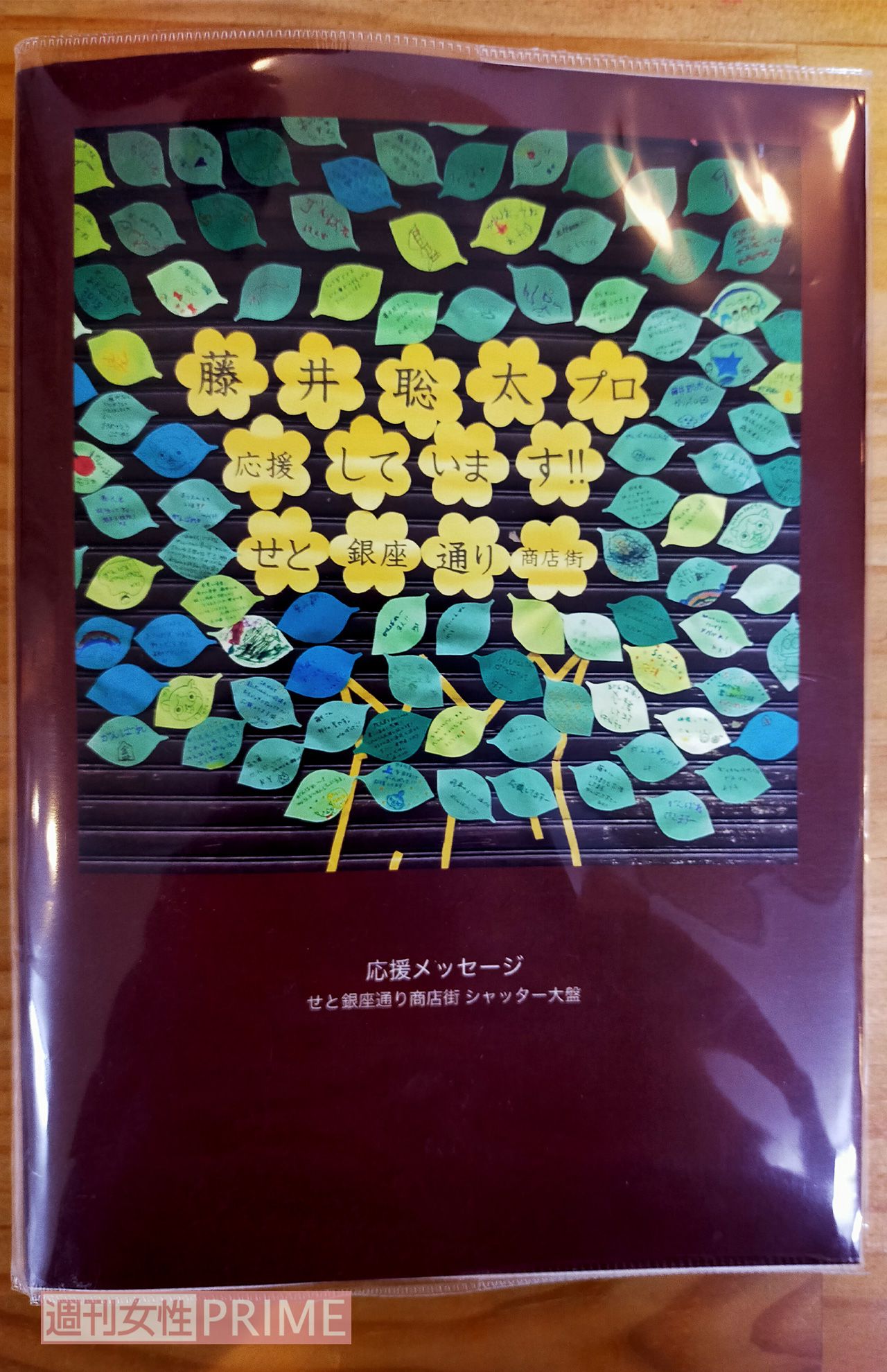 藤井七段の活躍に沸く、地元・愛知県瀬戸市の「せと銀座通り商店街」