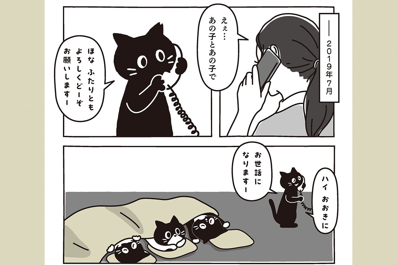 もちろん現実ではないが、藤の心象風景にあった“お母さん猫からふたりをもらい受けた日”の漫画が胸を打つ