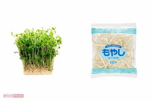 豆苗（1袋）約100円　もやし（1袋）約30円