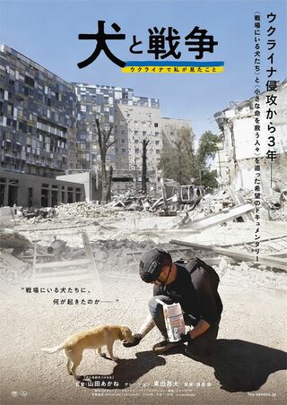 『犬と戦争　ウクライナで私が見たこと』 （山田あかね 監督）　（C）『犬と戦争』製作委員会