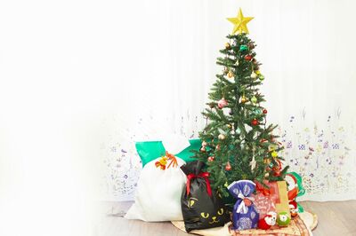【知って楽しい雑学】12月7日は「クリスマスツリーの日」ツリーにはなぜ“もみの木”なのか？ 理由は「木の…