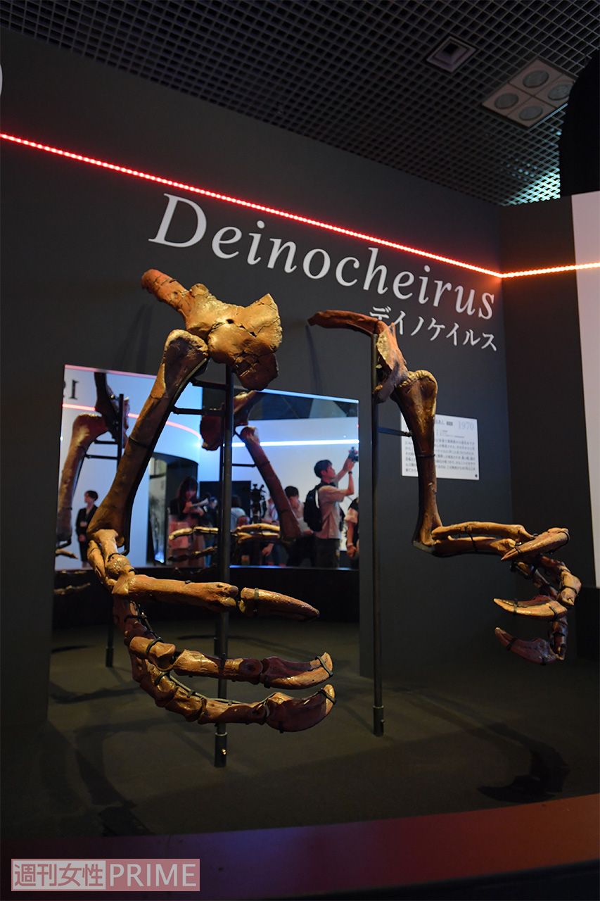 「恐ろしい手」と名づけられた、大迫力の前あしを持つデイノケイルス。“謎の恐竜”とされたが、全身骨格を世界で初めて復元