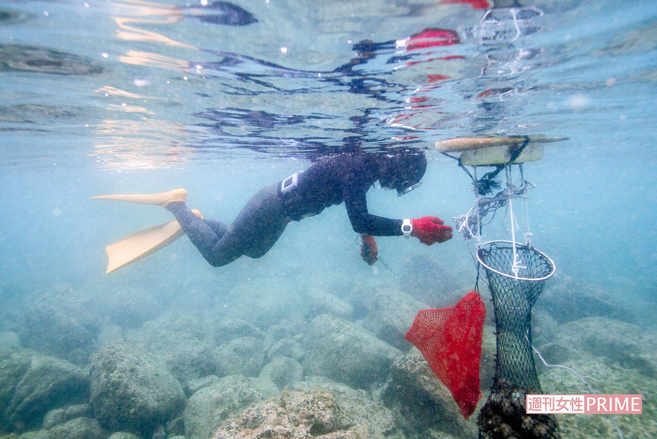 「アワビとサザエが今日の狙いです」と言って、8キロのウエイトをつけて水中に潜る晶さん。