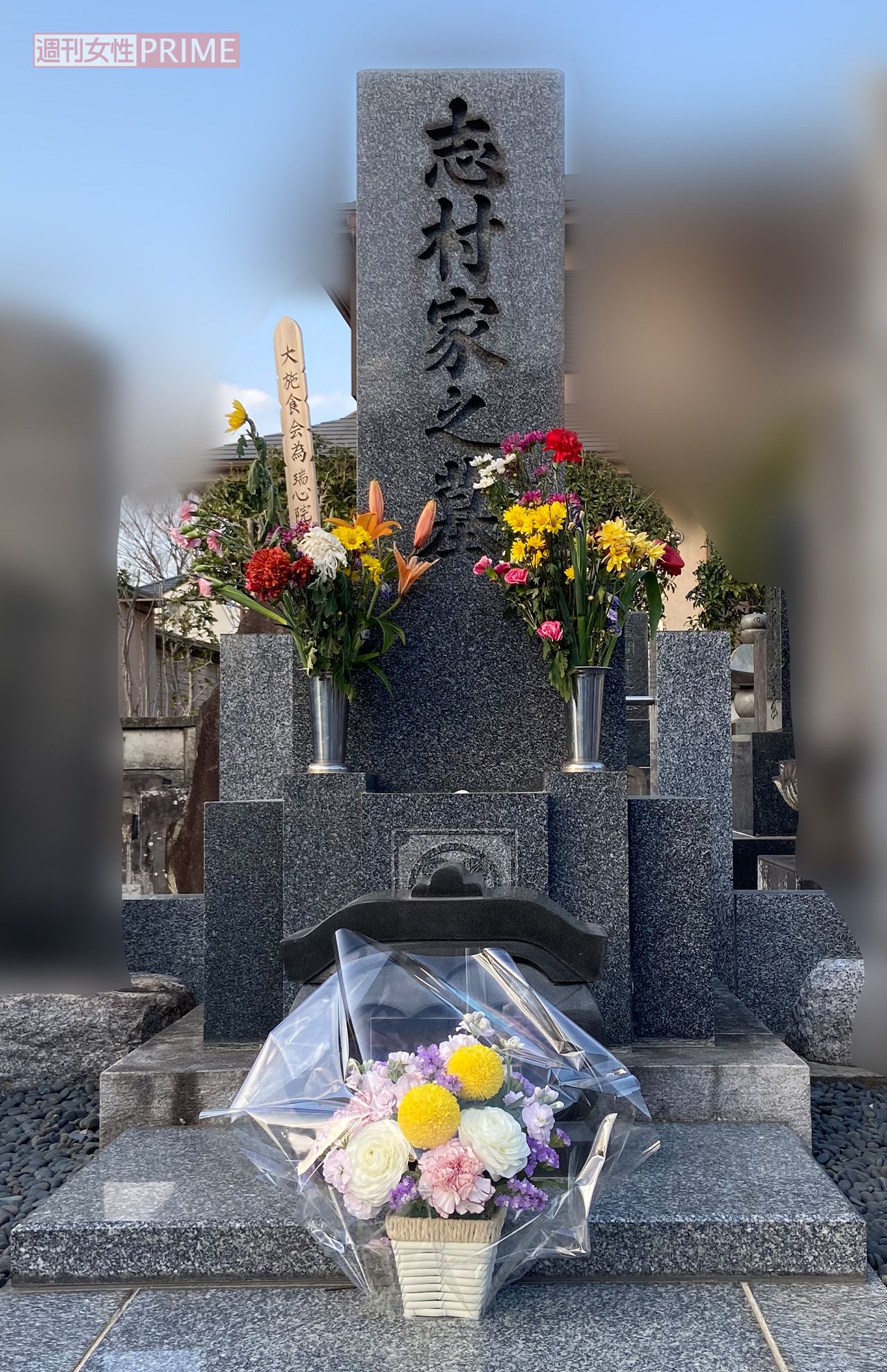 志村家の墓は今も多くの花が供えてあり、その前には真新しい木鉢の花が置かれていた