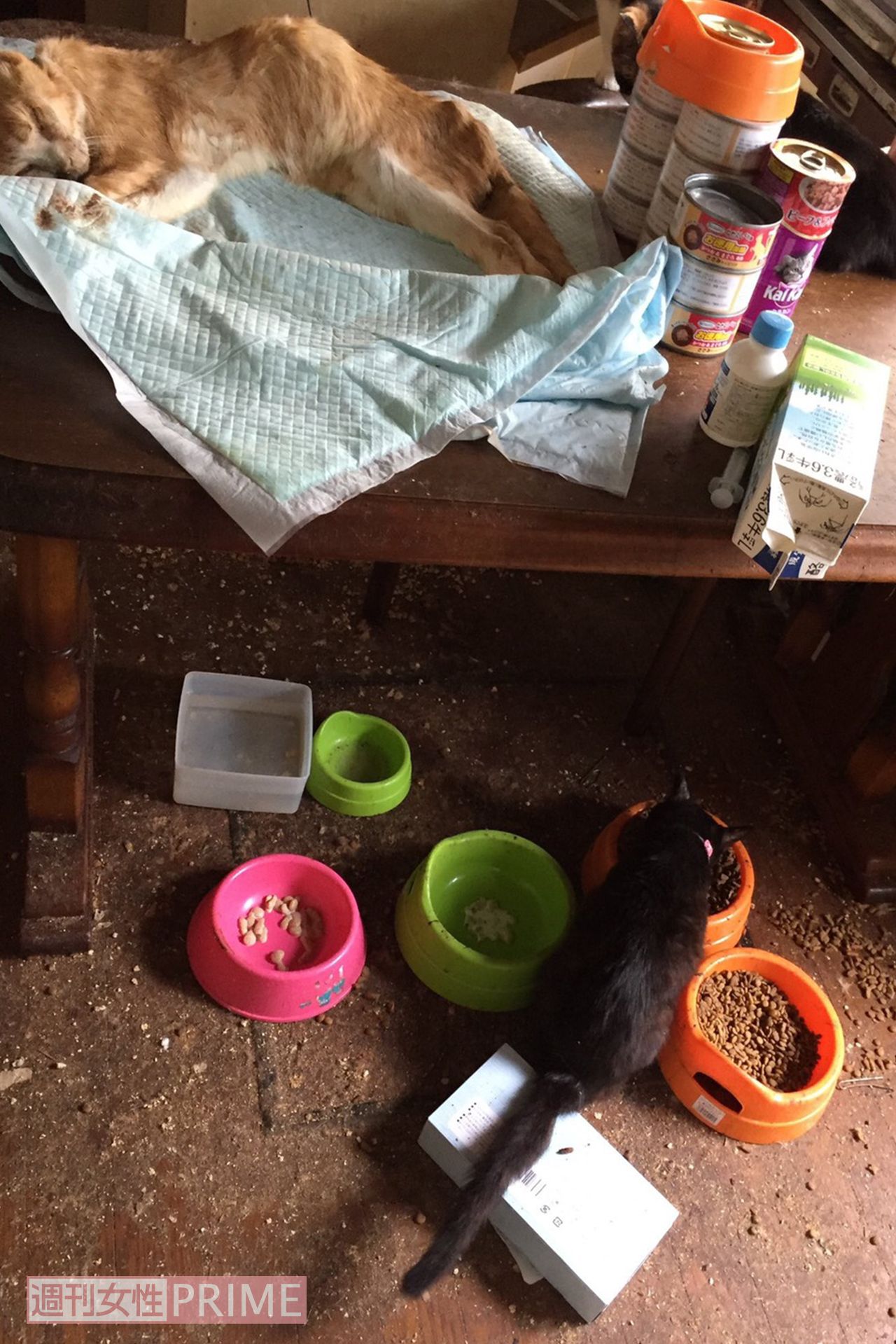 引っ越して2か月くらいの足利市の自宅（関係者提供）