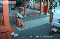 《埼玉・秩父》64歳無職の賽銭泥棒、犯行の一部始終と“仕事嫌い”の素顔【動画あり】