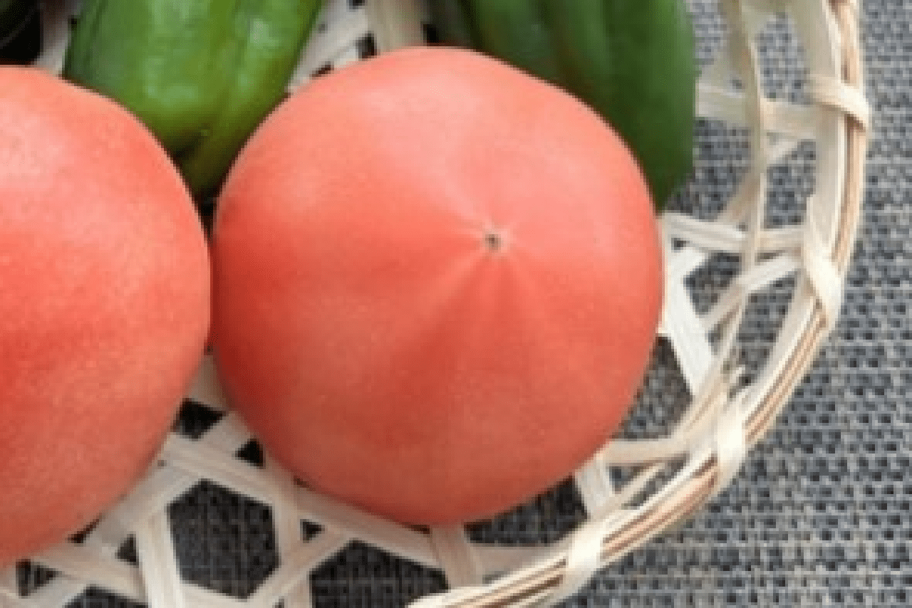 スターマーク。線の本数が均等で濃く大きいものほど甘みがあり成熟している。栄養豊富なトマトは今が旬!　ちなみにミニトマトにはない。