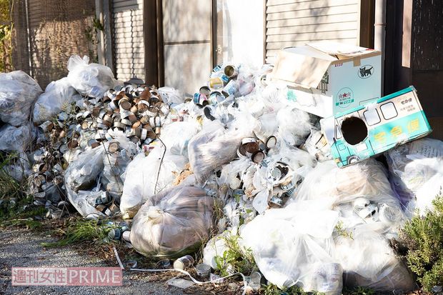 足利市の自宅の周りはおびただしい数の猫缶やゴミがあふれており、ハエも飛んでいた
