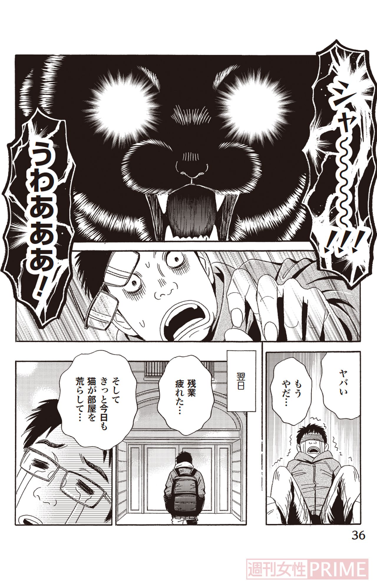 『ペット共生型マンション物語　ハイツ祐天寺へようこそ』第5巻（漫画柏屋コッコ／原作小林のえ）