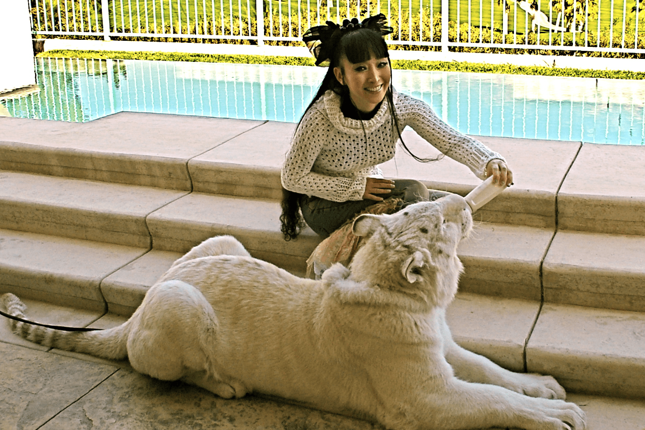 サーバルキャット、ホワイトタイガー、マウンテンライオン……。多種多様の動物を育ててきた