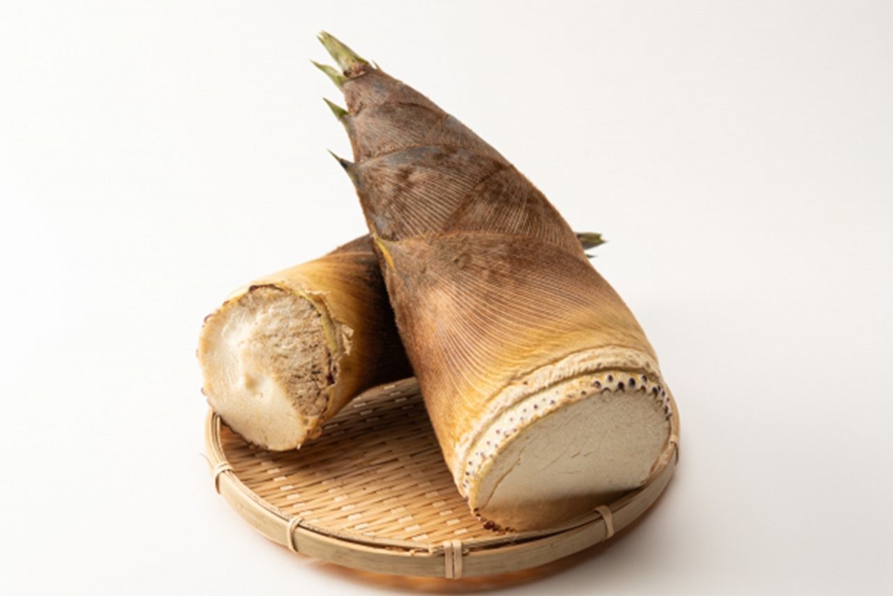 ※写真はイメージです