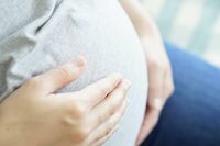 保険適用も混乱“進むもやめるも地獄”、当事者が語る「不妊治療に約1000万円」の現実