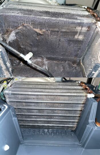 使用して3年たったという埃がたまった洗濯乾燥機の熱交換器。清掃前後で送風の勢いがまったく違うという