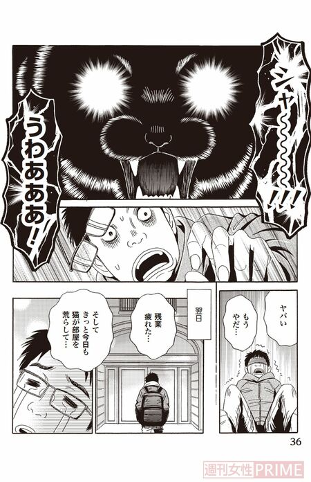 『ペット共生型マンション物語　ハイツ祐天寺へようこそ』第5巻（漫画柏屋コッコ／原作小林のえ）