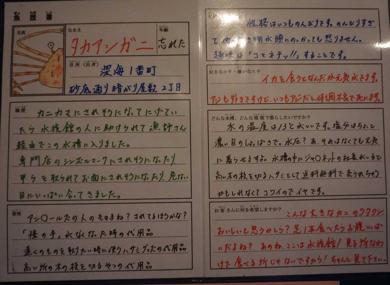 魚の生態をユニークに表現した「魚歴書」などの手描きポップ。魚たちを横目に、ジーッと読み込む人が続出