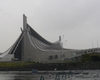 Sexy Zone、バレーＷ杯サポーター続投の思惑とは？