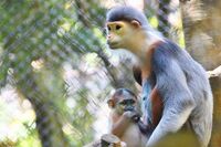 行ける！食べられる！この夏、日本で体験できる、いろんな“世界一”をご紹介 