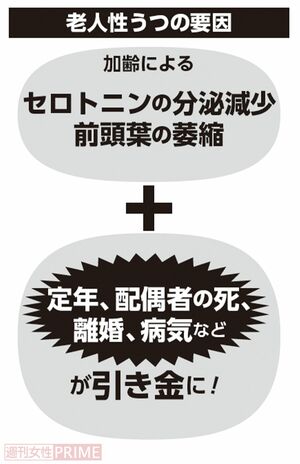 老人性うつの要因