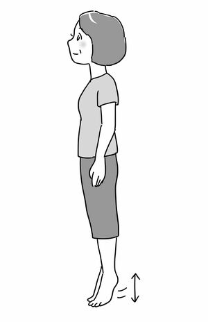 （2）かかとの上げ下げ（イラスト／赤松かおり）
