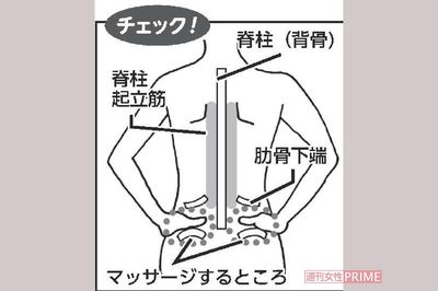 イラスト／水口アツコ