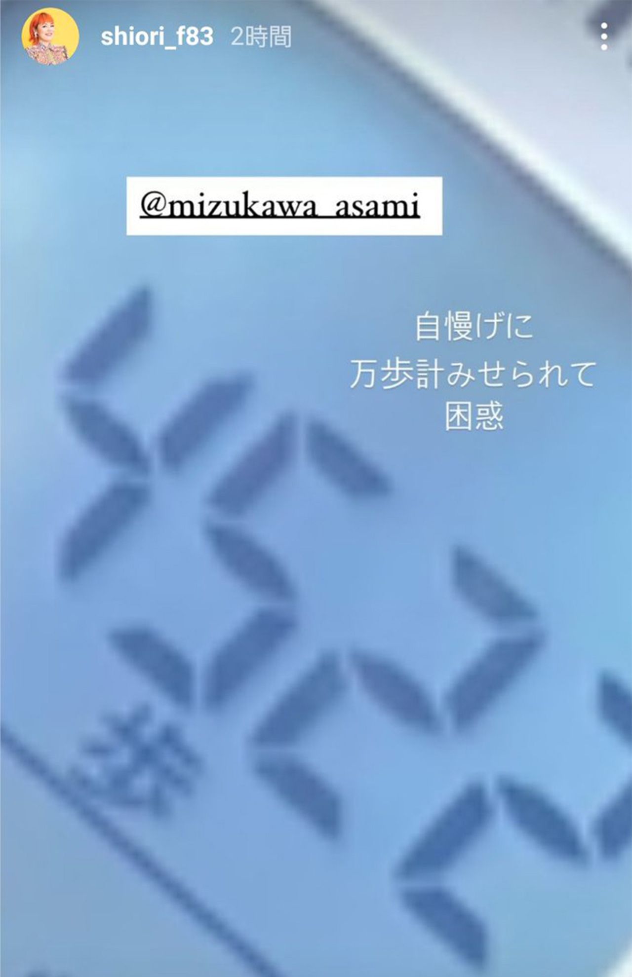ブルゾンちえみ（現・藤原しおり）がインスタグラムにアップした水川の万歩計
