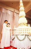結婚披露宴で、高さ約7メートルのケーキへ入刀。披露宴は約1800人が出席した('80年11月19日)撮影/週刊女性写真班