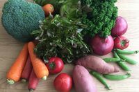 “ヴィーガン”“糖質オフ”などトレンドの食事法、50代以上が鵜呑みにすると危険な理由