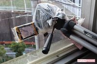 ハトを毒殺した准教授が、自宅に設置した「監視カメラ」で見ていたもの