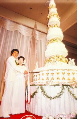 結婚披露宴で、高さ約7メートルのケーキへ入刀。披露宴は約1800人が出席した（'80年11月19日)撮影／週刊女性写真班