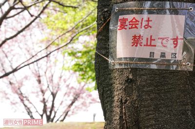 自粛生活の限界！新型コロナの次は「コロナうつ」、弱者を襲う“二次被害”の中身