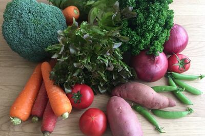 “ヴィーガン”“糖質オフ”などトレンドの食事法、50代以上が鵜呑みにすると危険な理由