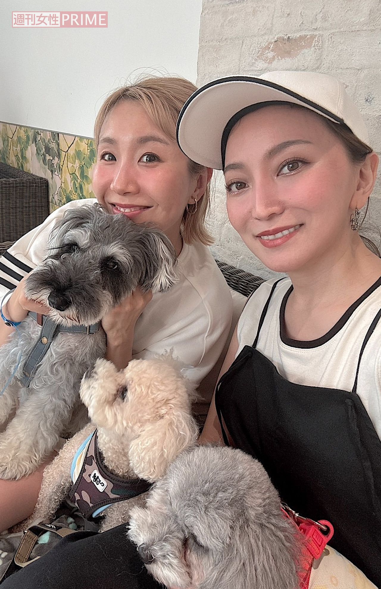 早織ちゃんと愛犬たちと一緒に。みんなかわいい～　写真提供／加藤綾菜