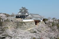 新大河『直虎』の里・浜松がアツイ! 「出世の街」が立ち上げる注目の観光プラン