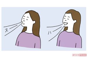 ※イラストはイメージです